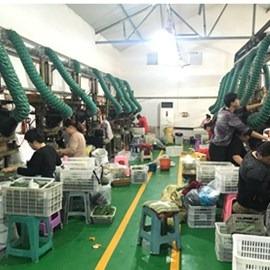 Verified China supplier - Renqiu Dasen Plastic Handicraft Factory
