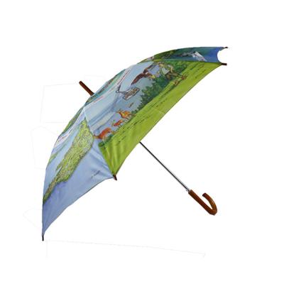 China Country Digital Printing / Heat Transfer Printing Upright Umbrella for sale