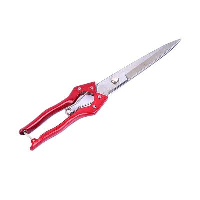 China Embroidery professional manufacturing handle alloy steel hoof knife goat horse steel cattle scare shear scissors for sale