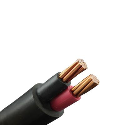 China Auotomotive Industrial IEC 605020 PVC 0.6/1kV Insulated And Sheath Low Voltage 2 Core Power Cable for sale