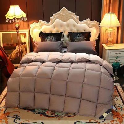 China Luxury Warm Custom Kids Bedroom Winter Single Bed Adult White 100% White Feather Down Comforter Comforter Quilt for sale