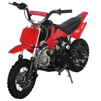 China Hot Sale Dirt Bike 110cc For Adults 2.5-14 /3.0-12 for sale