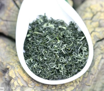 China Sichuan green tea 2018 xincha mengding mountain green tea for sale