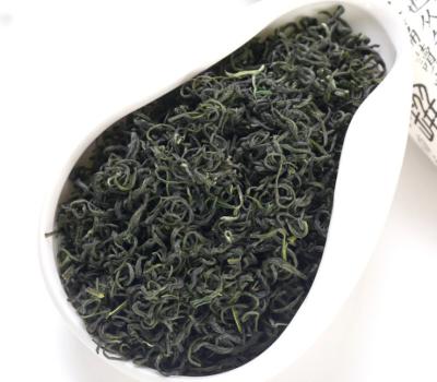 China Chestnut fragrance sichuan ya 'an high mountain cloud stir-fry green tea rain for sale