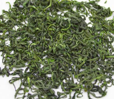 China Zhejiang high mountain cloud green tea fresh fresh luzhou-flavor tea for sale