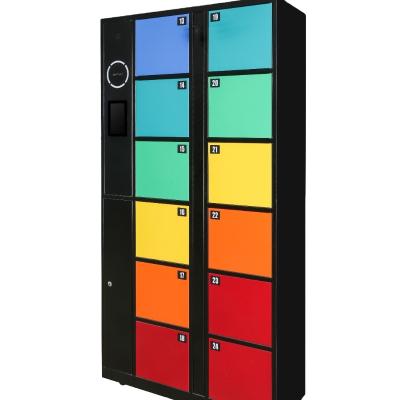 China Environmentally Friendly 12 Doors Electronic Smart Barcode Fingerprint Digital Parcel Storage Locker For Express for sale