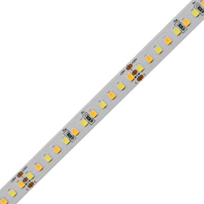 China Flexible LED SMD 2835 LED Strip 120leds/M 10mm LED Strips CCT Adjustable 1800K-6500K Warm White Cool White Dual Colors for sale