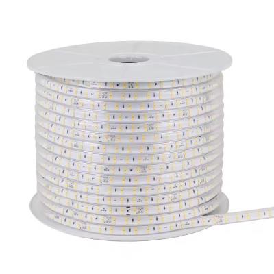 China 220-240V SMD2835 120D 10W/M Colorful LED Strip With 80 Cri Long Life Span CE/RoHS Certified In South America for sale