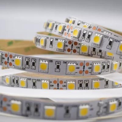 China 12w 12v 24v 10mm 60 Leds Rgb 5050 Smd Flexible Led Strip Light with and Multi Colors for sale