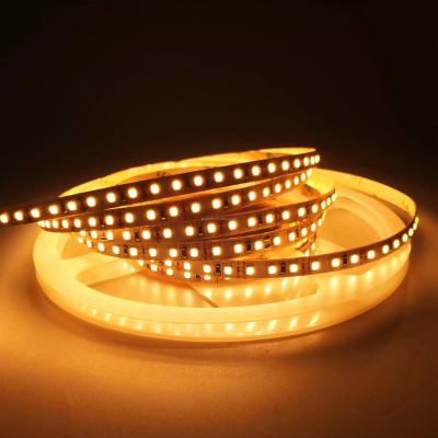 China IP20 Rating Landscape Decoration Lighting 5m 10m 12v 24v 220v Rgbw Cob Light Strip for sale