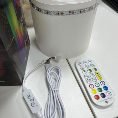 China 2- RGB IC Smart Corner Light Remote Controlled Tuya Support Google Alexa LED Corner Floor Lamp For Living Room for sale