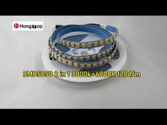 5050 WW+W 2in1  LED Strip