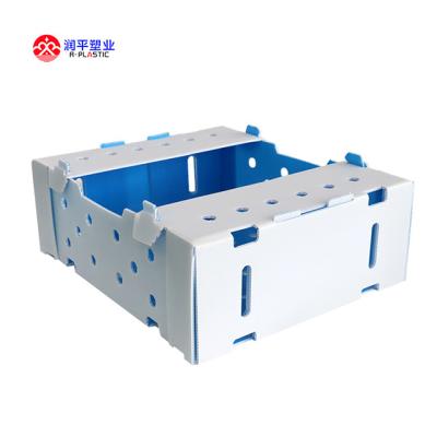 China 4KG GOMBO box vegetable plastic supplier corrugated plastic box factory for sale