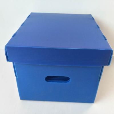 China Recyclable Factory Price Customize Color Design PP Storage Plastic Hollow Corrugated Box PP Turnover Box for sale