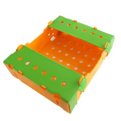 China Recycled Materials Logo Printing Materials Manufacturing Custom Product Folding Corrugated Corrugated Polypropylene Plastic Box For Fruit for sale