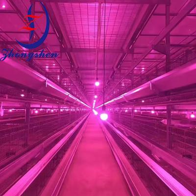 China Dimmable LED Light Bulb Poultry Lighting Waterproof For Chicken Farm for sale