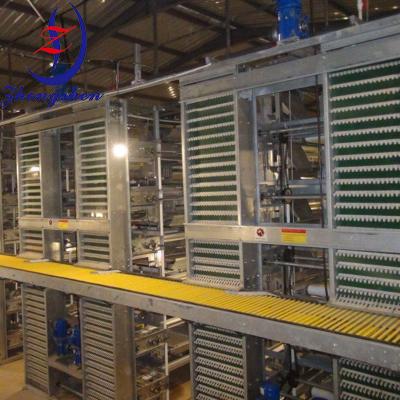 China ABS-leveringspijp ei-conveyorpijp voor ei-conveyor systeem Te koop