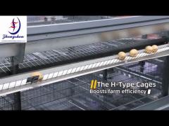 Poultry Chicken Farm Automation Egg Collection System