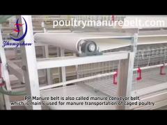 Efficient Manure Belt System in Action – Automated Livestock Farm Cleaning Solution | [r Bra