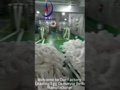 Precision in Egg Conveyor Belt Manufacturing | Factory Production Process