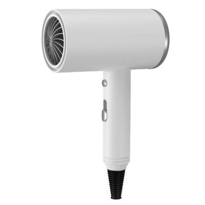 China Other New Professional Salon Use OEM Hair Blow Dryer Negative Ion Leafless Hair Dryer for sale