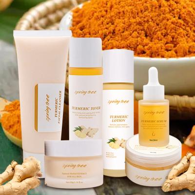 China Custom Face OEM Private Label Skin Care Set Anti Acne Whitening Repair Face Care Turmeric Skin Care Set for sale