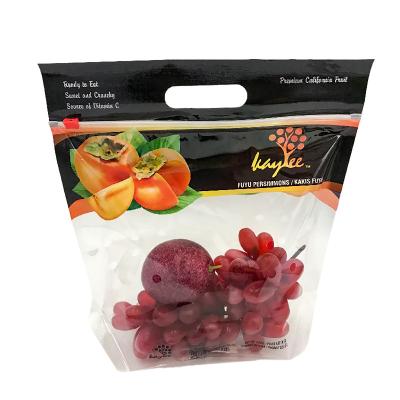 China Custom Printed Reusable Wholesale Plastic Clear Security Zip Lock Zipper Bags For Fruit for sale