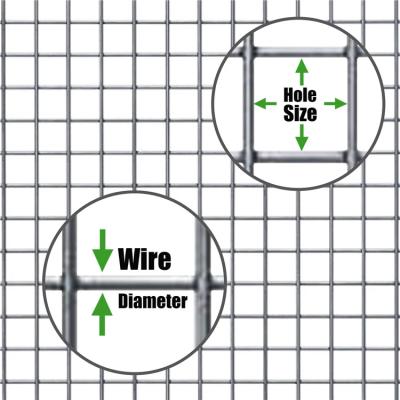 China Construction Wire Mesh Hot Dipped Galvanized Welded Wire Mesh For Birdcage Welded Wire Mesh Roll à venda