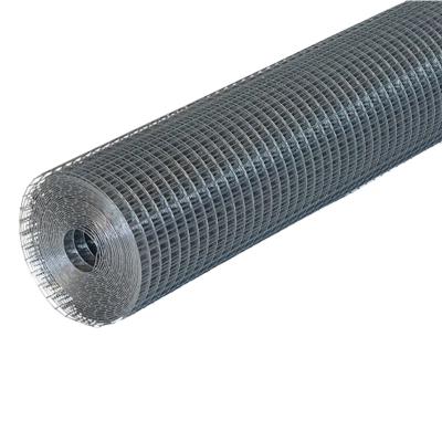 China Plain Weave Customized Wholesale 3mm 2x3 Wire Galvanized Welded Wire Mesh Te koop