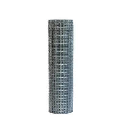 Cina Plain Weave Supplies Wholesale Welded Wire Mesh Roll 9 Gauge Welded Wire Mesh in vendita