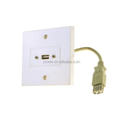 China ABS Plastic ROHS Sockets Wall Plate Multifunctional Plastic Usb Connection for sale