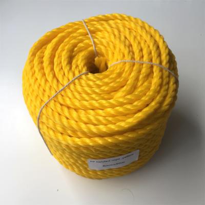 China 10 mm PP 3 Stand Twisted Garden Support Rope voor hekken/veehouderij/irrigatiesystemen/gewasondersteuning Te koop