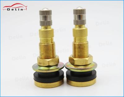 China DeLin Brass Air-Liquid Valves For Agricultural Tractors Tire Valves / TRCH3 / Tubeless Tire Valves for sale