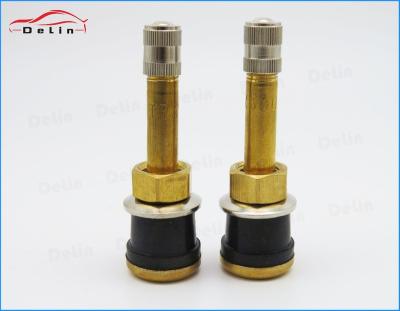 China DeLin Europe brass quality best price snap-in valve tr500 truck tire valve for sale