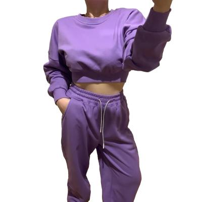 China Breathable Purple Fleece Cotton Drop Shoulder Cropped Plain Sweatsuit Sets Women Custom Logo Sweatsuits for sale