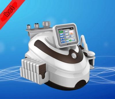 China Criolipolisis Cryolipolysis for sale