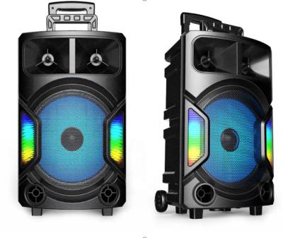 China AirPlay Manufacturer 12 Inch Portable DJ Outdoor Party Sound System Wireless Speakers for sale