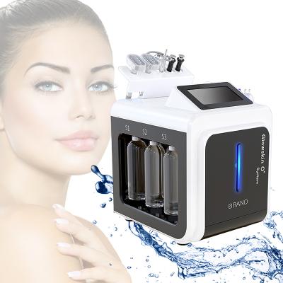 China Newest professional hydro dermab water dermabrasion hydro dermabrasion diamond exfoliators 10 in 1 for sale