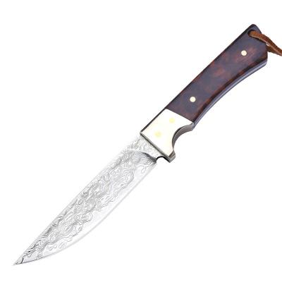 China Excellent Damascus Grain Knife Outdoor Camping Survival Portable Straight Knife for sale