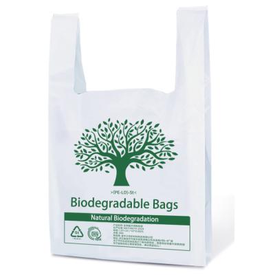 China BIODEGRADABLE En13432 100% compostable retail custom design reusable biodegradable shopping bag for sale