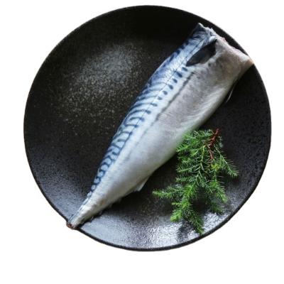 China FROZEN Pacific Mackerel HGT Mackerel Fish For Canning for sale