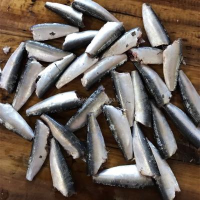 China HGT FROZEN Frozen Sardine for Canning Factory Industry for sale