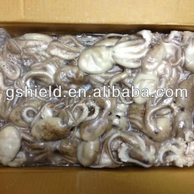 China Cheap IQF price size 20-60g/pcs frozen baby octopus. 20-60g/pcs frozen baby octopus for sale