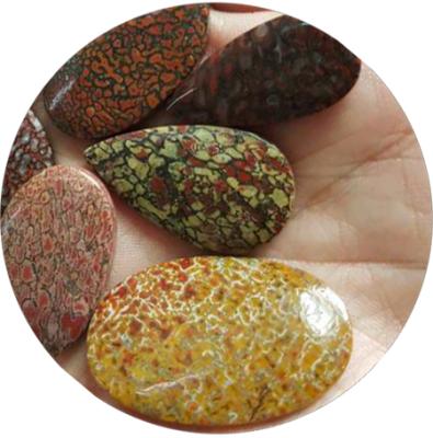 China Fengshui Maker Fancy Africa Healing Loose Stone Polished Gembone Fossil For Art Collectible for sale