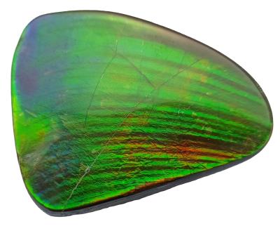 China Gems Canada Canada Reasonable Prices Beautiful Specialty Ammolite Polished Loose Gemstone for sale