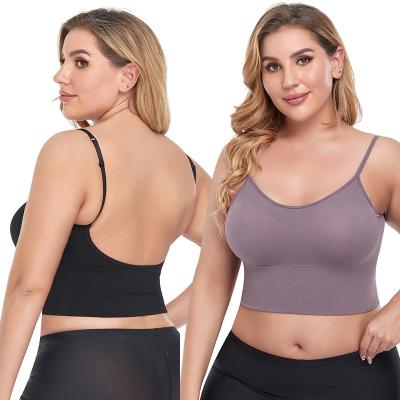 China Best Selling Shockproof Running Underwear Breathable Rimless Yoga Bra Plus Size Sports Bra for sale