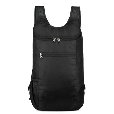 China Anti-Theft TS Custom Logo Casual Sports Backpack Ultralight Waterproof Polyester Packbag Folding Travel Knapsack for sale