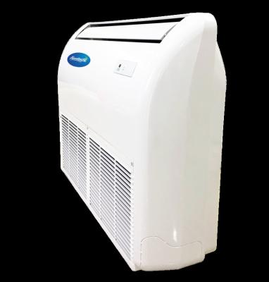 China 2022 Outdoor Hot Selling Dehumidifier ABS Plastic Wall Mounted Dehumidifier For Swimming Pool for sale