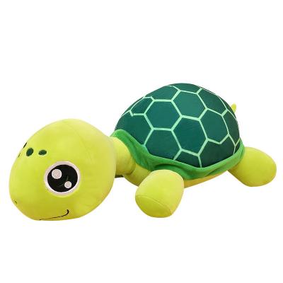 China Plush Down Cotton Turtle Doll Plush Toy Turtle Doll Soft Pillow for sale