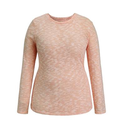 China Anti-Wrinkle Basic O Neck Long Sleeve Autumn And Winter Sweater Whole Sale Cotton Sweater Plus Size Women Based Shirt for sale